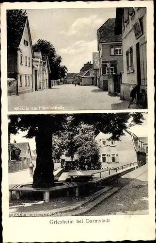 Ak Griesheim bei Darmstadt, Pfützenstraße, Friedenslinde