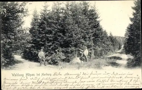 Ak Hamburg Harburg, Waldung Höpen