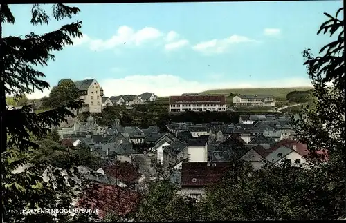 Ak Katzenelnbogen im Taunus, Teilansicht