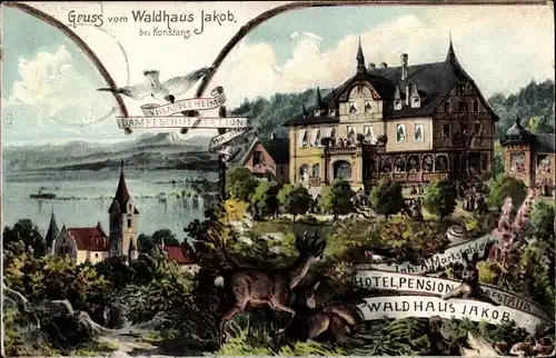Ak Konstanz am Bodensee, Waldhaus Jakob, Villa Seeheim, Dampfschiff Station