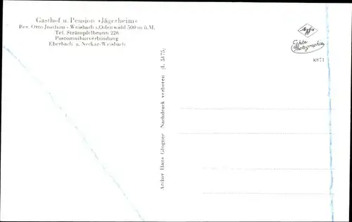 Ak Weisbach Waldbrunn im Odenwald, Panorama, Gasthof und Pension Jägerheim