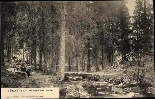 Ak Gérardmer Lothringen Vosges, au Pont des Singes, Bachlauf, Wald