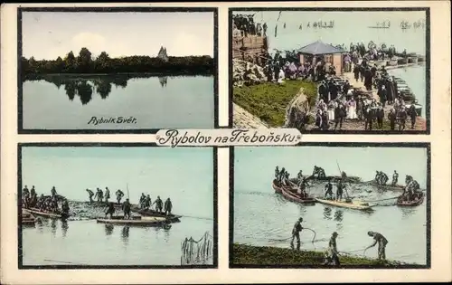 Ak Třeboň Wittingau Südböhmen, Angler, Rybnik Svet