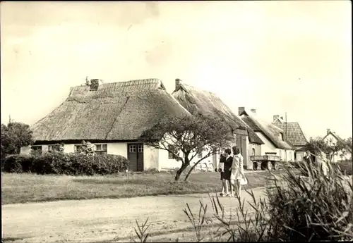 Ak Vitte Insel Hiddensee, Reetdachhäuser