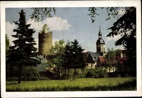 Ak Triptis in Thüringen, Blick vom Stadtpark