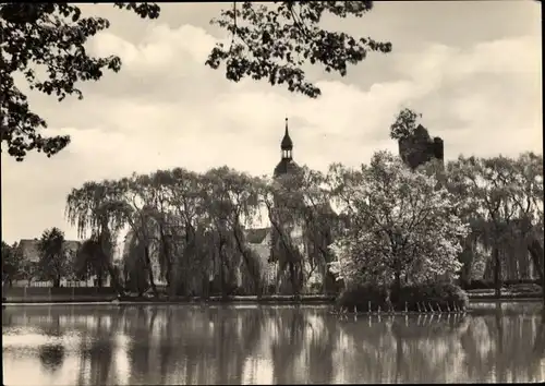 Ak Triptis in Thüringen, Blick auf den Schlossteich