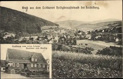 Ak Heiligkreuzsteinach am Neckar, Gasthaus zum roten Löwen, Totalansicht der Ortschaft