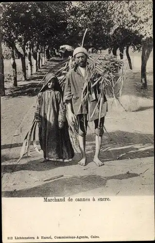 Ak Ägypten, Marchand de cannes a sucre, Zuckerrrohrhändler, Ägypter