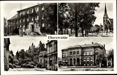 Ak Eberswalde im Kreis Barnim, Karl Marx Platz, Berufsschule, Goethestraße, Fortswirtschaft