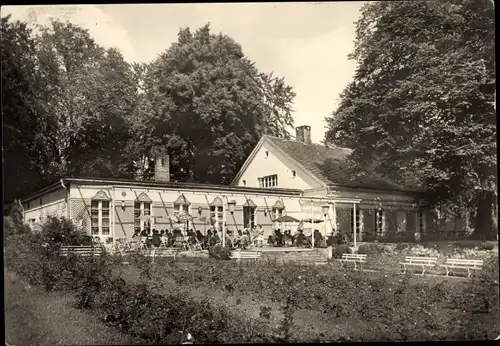 Ak Putbus auf der Insel Rügen, Rosencafé