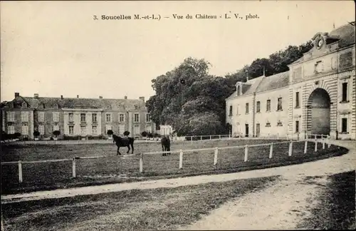 Ak Soucelles Maine et Loire, vue du Château, Pferdekoppel