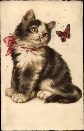 Ak Kleine Katze mit Schleife, Schmetterling