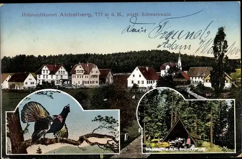 Ak Aichelberg Schwarzwald, Enzursprung, Auerhahn