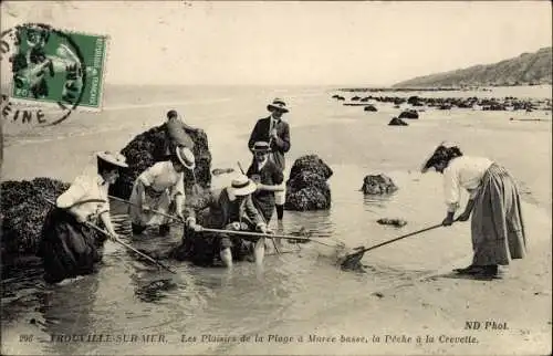 Ak Trouville sur Mer Calvados, La Peche a la Crevette