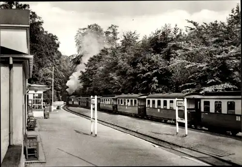 Ak Heiligendamm Bad Doberan im Kreis Rostock, Bahnhof mit Bäderbahn Molli, Bahnstrecke