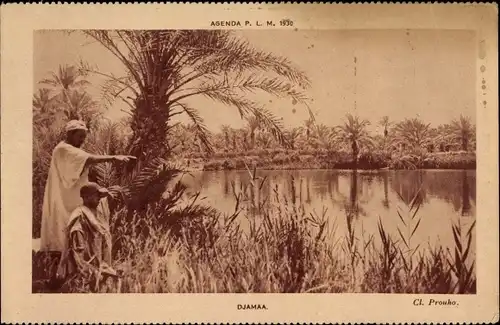 Ak Djamaa Algerien, Landschaft mit Gewässer, Palme, Araber, Maghreb