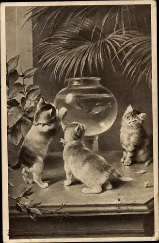 Ak Kleine Katzen betrachten Fische im Aquarium