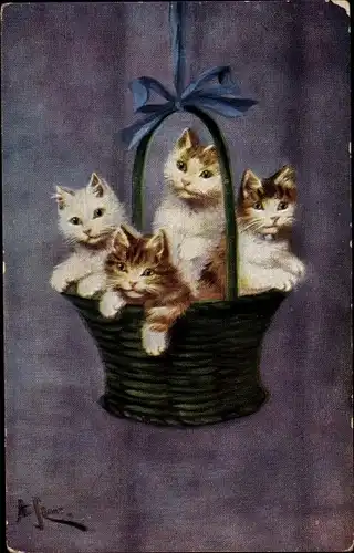 Künstler Ak Hauskatzen in einem Weidenkorb, Kätzchen