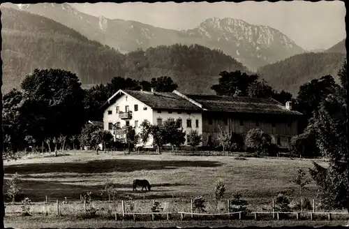 Ak Bernau am Chiemsee, Gasthof Steinbauernhof