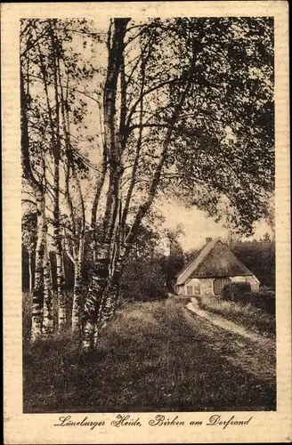 Ak Lüneburg in Niedersachsen, Birken, Dorfrand