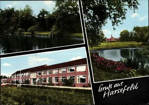 Ak Harsefeld in Niedersachsen, Seepartie, Schule