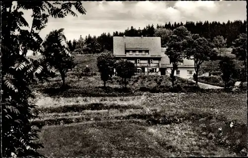 Ak Sankt Andreasberg Braunlage im Oberharz, Haus Hanneli