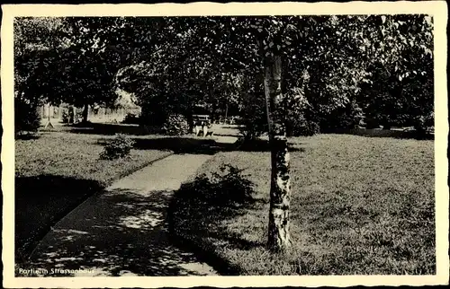 Ak Straßenhaus im Westerwald, Parkpartie