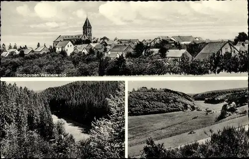 Ak Horhausen im Westerwald, Totale, Wald