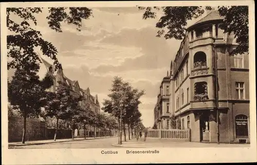 Ak Cottbus in der Niederlausitz, Briesener Straße
