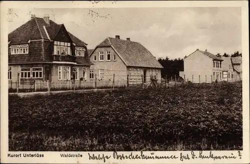 Ak Unterlüß Unterlüss Südheide, Waldstraße