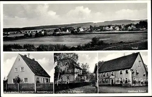 Ak Weinzierlein Zirndorf in Mittelfranken, Gasthaus Eckert, Villa Birkenhof, Gemischtwarenhandlung