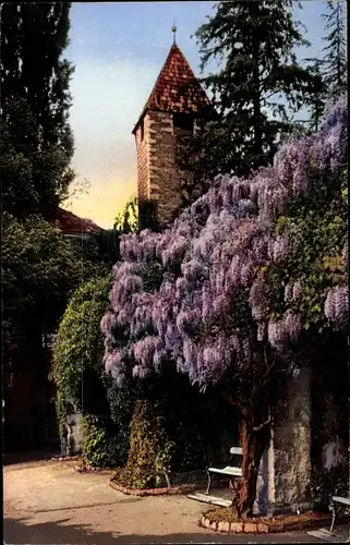 Ak Meran Merano Südtirol, Vegetation, Turm, Bäume, Flieder