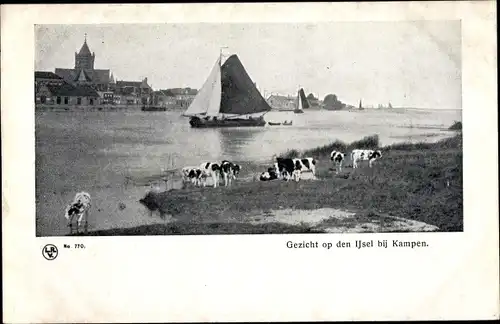 Ak Kampen Overijssel Niederlande, Gezicht op den IJsel bij Kampen, Flusspartie, Segelboot, Kühe