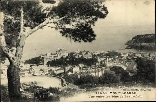 Ak Monte Carlo Monaco, vue entre les Pins de Beausoleil, Panorama