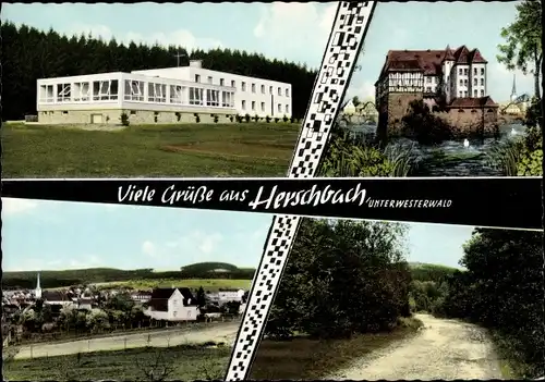 Ak Herschbach im Westerwald, Teilansicht, Waldpartie, Schloss, Gebäude