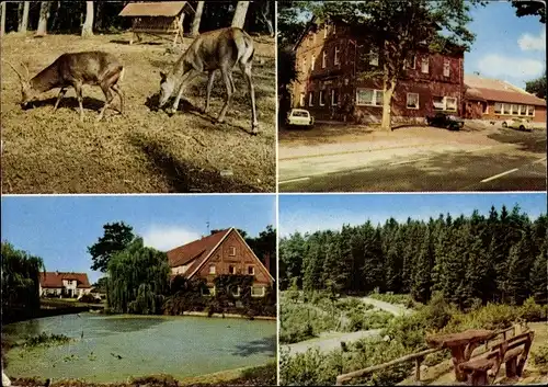 Ak Vahrendorf Rosengarten Niedersachsen, Schutzpark Schwarze Berge