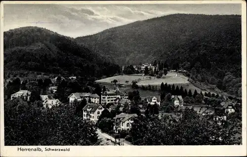 Ak Bad Herrenalb im Schwarzwald, Teilansicht