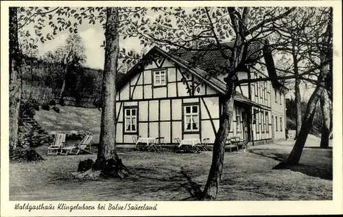 Ak Balve im Sauerland, Waldgasthaus Klingelnborn