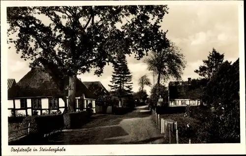 Ak Steinbergholz Steinberg in Angeln, Dorfstraße