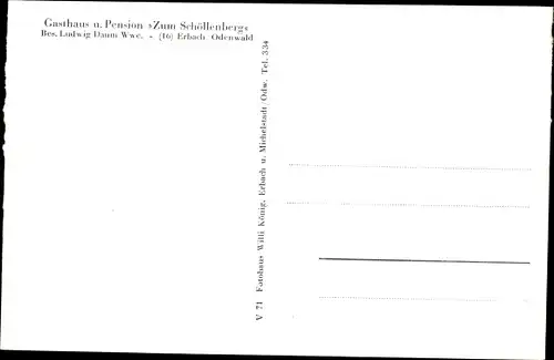 Ak Erbach im Odenwald, Gasthof Zum Schöllenberg, Ludwig Daum, Totalansicht