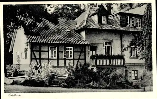 Ak Tiefenbrunn Mengershausen Rosdorf, Niedersächsisches Landeskrankenhaus, Waldhaus