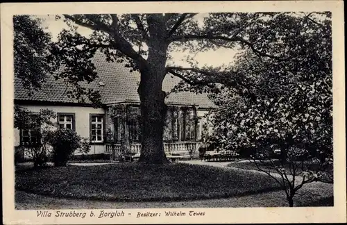 Ak Borgloh Hilter am Teutoburger Wald, Villa Strubberg