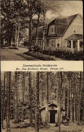 Ak Hesepe Bramsche in Niedersachsen, Sommerfrische Waldesruhe, Schutzhütte