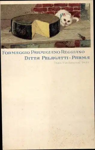 Litho Parma Emilia RomagnaFormaggio Parmigiano Reggiano, Ditta Pelagatti Parma, Käse, Hauskatze