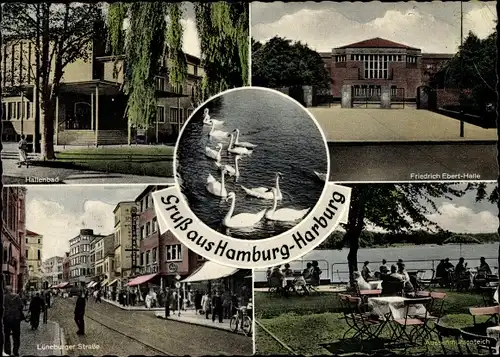 Ak Hamburg Harburg, Hallenbad, Friedrich Ebert Halle, Lüneburger Straße, Außenmühlenteich, Schwäne