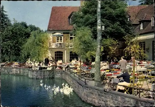 Ak Leopoldstal Horn Bad Meinberg am Teutoburger Wald, Waldhotel Silbermühle, Terrassenpartie