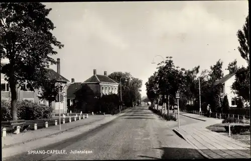 Ak Sprang Capelle Nordbrabant Niederlande, Julianalaan