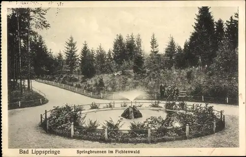 Ak Bad Lippspringe in Westfalen, Springbrunnen im Fichtenwald