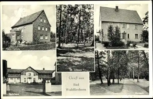 Ak Bad Waldliesborn Lippstadt in Westfalen, Haus Heitzig, Haus Hubertus, Badehaus, Kurpark