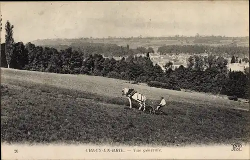 Ak Crecy en Brie Seine et Marne, Vue generale, Ackerarbeit, Pferdepflug